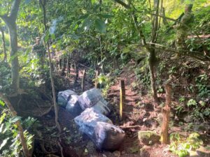 SOLDADOS DE LA FUERZA ARMADA UBICAN BULTOS DE DROGA EN METAPÁN