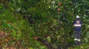 CALLES BAJO EL AGUA Y ARBOLES DERRIBADOS SON ALGUNAS DE LAS EMERGENCIAS REGISTRADAS POR LAS LLUVIAS