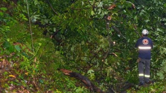 CALLES BAJO EL AGUA Y ARBOLES DERRIBADOS SON ALGUNAS DE LAS EMERGENCIAS REGISTRADAS POR LAS LLUVIAS