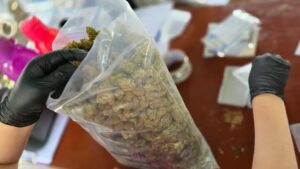 FGR DESTRUIRÁ 1,400 KILOS DE COCAÍNA DECOMISADA EN DIFERENTES PROCEDIMIENTOS