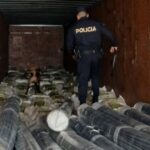 DETIENEN A PANAMEÑO CON FERTILIZANTES DE CONTRABANDO Y DINERO EN EFECTIVO
