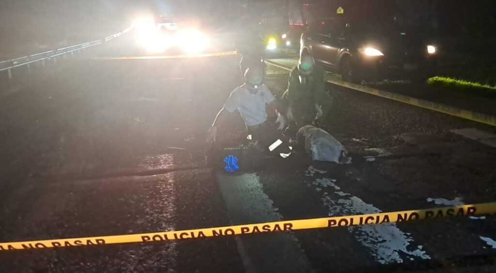 ADULTO MAYOR MUERE ATROPELLADO EN CARRETERA PANAMERICANA