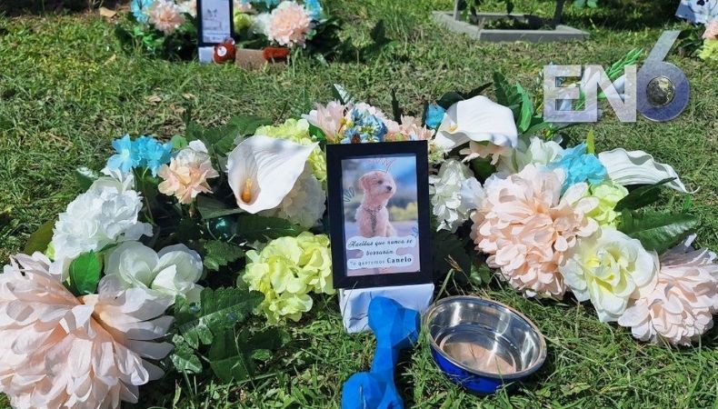 SERVICIO FUNERARIO PARA MASCOTAS REGISTRA 50 INHUMACIONES EN UN MES