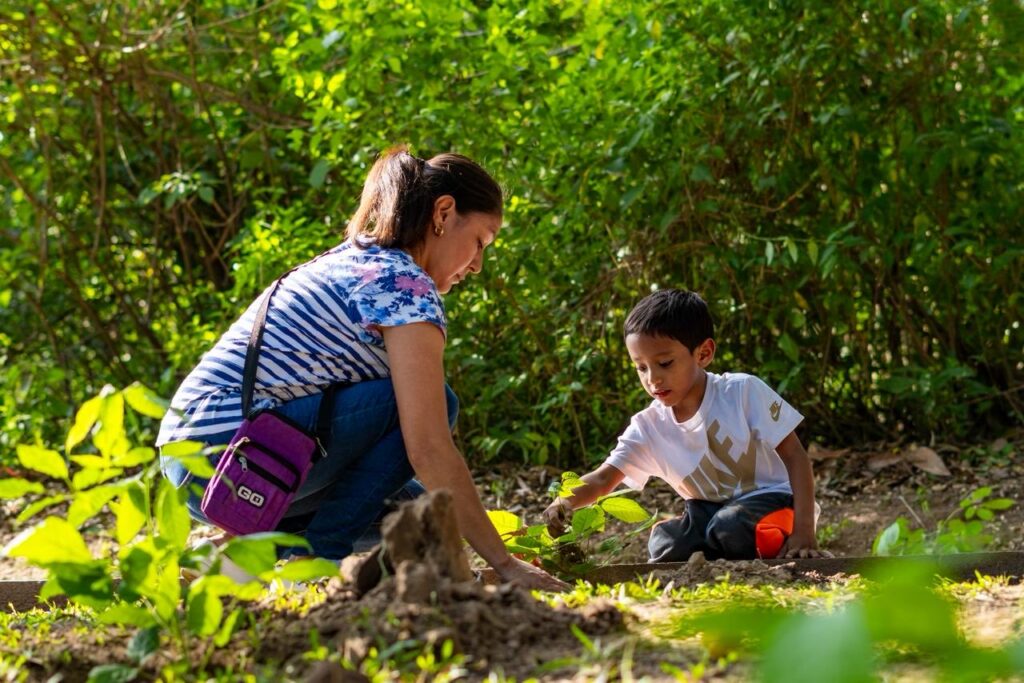 CONTINÚAN LAS ACCIONES DE REFORESTACIÓN EN EL PARQUE BICENTENARIO