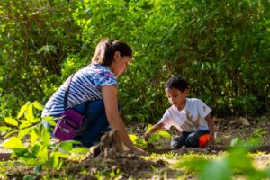 CONTINÚAN LAS ACCIONES DE REFORESTACIÓN EN EL PARQUE BICENTENARIO