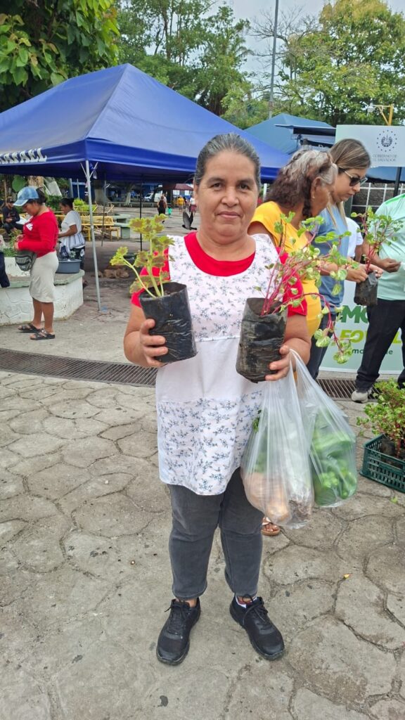 MOP ENTREGA ÁRBOLES Y PLANTAS EN VARIOS MUNICIPIOS DEL PAÍS