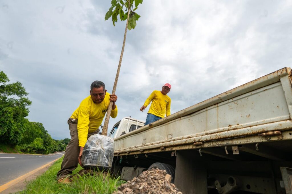 GOBIERNO EJECUTA OBRAS DE REMOZAMIENTO Y REFORESTACIÓN EN EL PARQUE BICENTENARIO