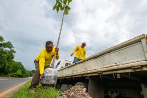 GOBIERNO EJECUTA OBRAS DE REMOZAMIENTO Y REFORESTACIÓN EN EL PARQUE BICENTENARIO