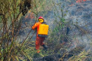 ALERTA AMARILLA CONTINÚA POR AUMENTO DE INCENDIOS EN EL SALVADOR