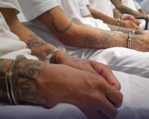 SIETE CABECILLAS DE LA MS-13 RECIBEN CONDENAS DE HASTA 45 AÑOS DE PRISIÓN
