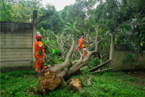 ATIENDEN MÁS DE 100 INCIDENCIAS ASOCIADAS A LAS LLUVIAS EN LAS ÚLTIMAS HORAS