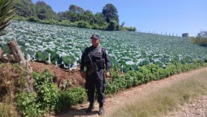 PNC REPORTA CERO ASESINATOS DURANTE LOS PRIMEROS 11 DÍAS DE AGOSTO