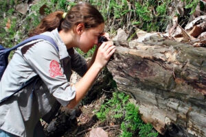 ÁRBOLES PETRIFICADOS REVELAN EL PASADO VOLCÁNICO DE EL SALVADOR
