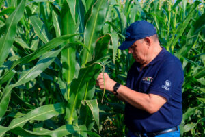PLANTEAN EXTENDER HASTA 2031 RÉGIMEN ESPECIAL PARA ABASTECIMIENTO AGROPECUARIO