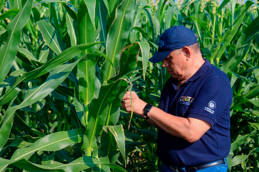 PLANTEAN EXTENDER HASTA 2031 RÉGIMEN ESPECIAL PARA ABASTECIMIENTO AGROPECUARIO