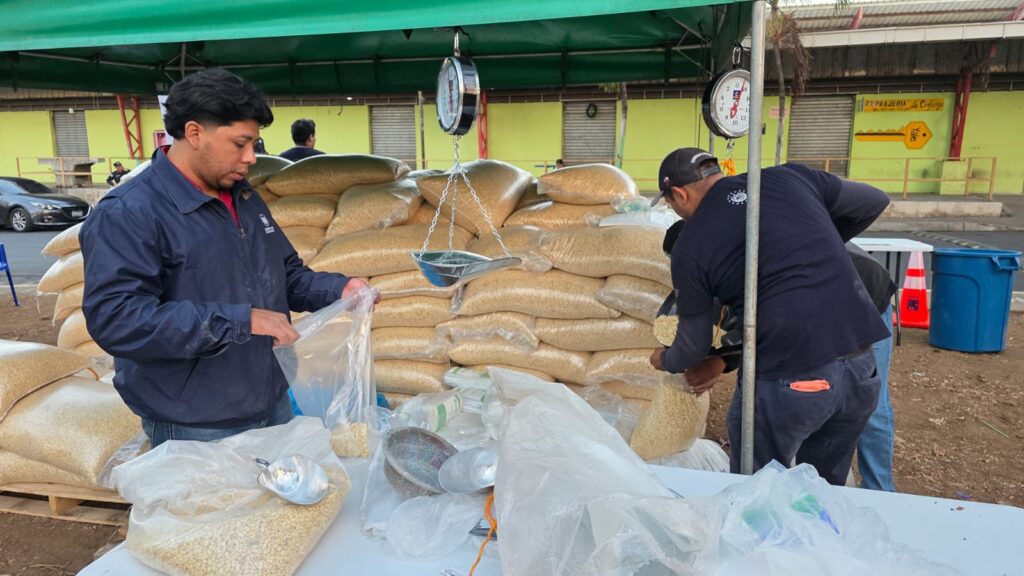 GOBIERNO ADVIERTE A ESPECULADORES MIENTRAS IMPULSA RECUPERACIÓN EN SIEMBRAS DE MAÍZ