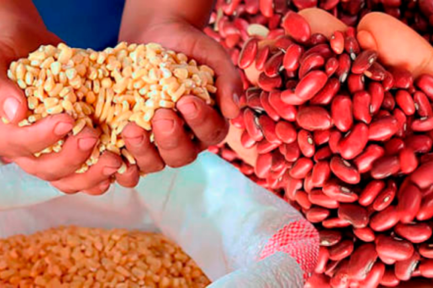 GOBIERNO ASEGURA SUFICIENTE MAÍZ Y FRIJOL PARA GARANTIZAR EL ABASTECIMIENTO NACIONAL