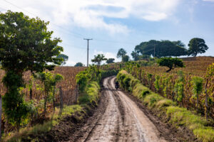 LOS TOLES DEJA ATRÁS EL LODO Y LAS GOTERAS CON NUEVA INFRAESTRUCTURA EDUCATIVA Y VIAL